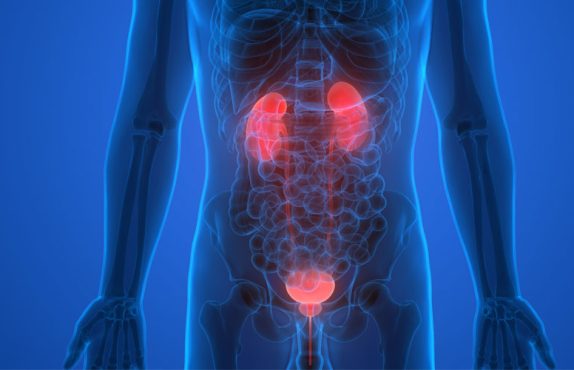 Prostat Oluşumu ve Mesane Kanseri