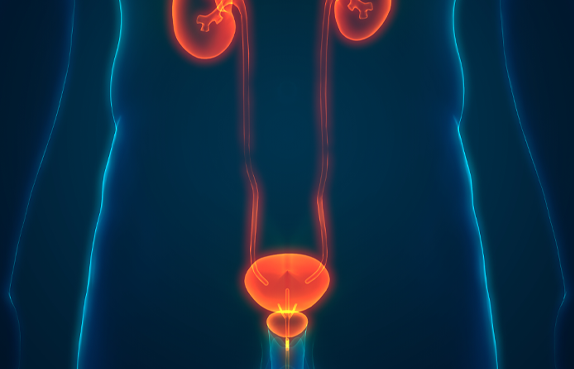Ürolojik Kanser Çeşitleri Nelerdir? Ürolojik Kanserler Nasıl Teşhis Edilir?