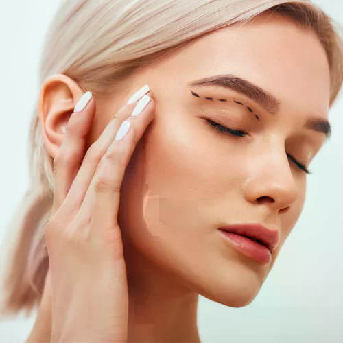 Yılan Yapısı 778691358