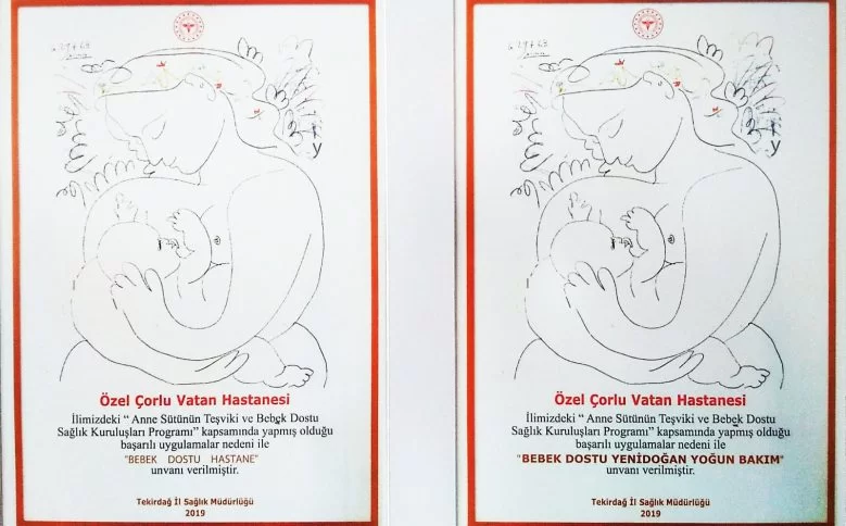 Yılan Yapısı 1827203015