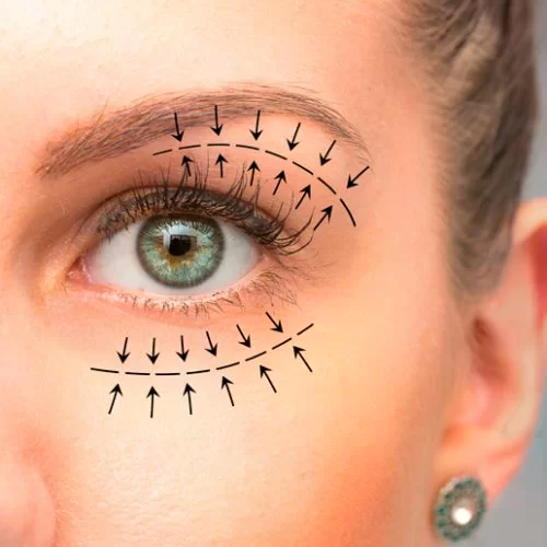 Yılan Yapısı 279473120