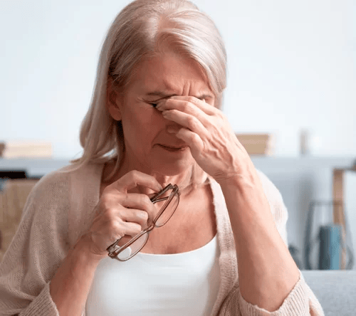 Yılan Yapısı 93962177