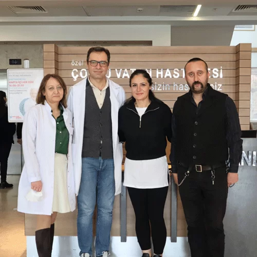 Yılan Yapısı 1006911582