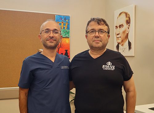 Yılan Yapısı 303287194