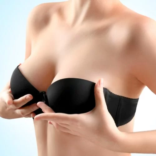 Yılan Yapısı 942090777