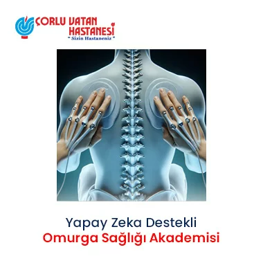YAPAY ZEKA DESTEKLİ KİŞİYE ÖZEL OMURİLİK AKADEMİSİ’Nİ KURDUK.