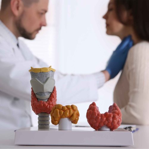 Tiroid Kontrol Paketi