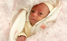 Minik Doğa Hayata Tutundu