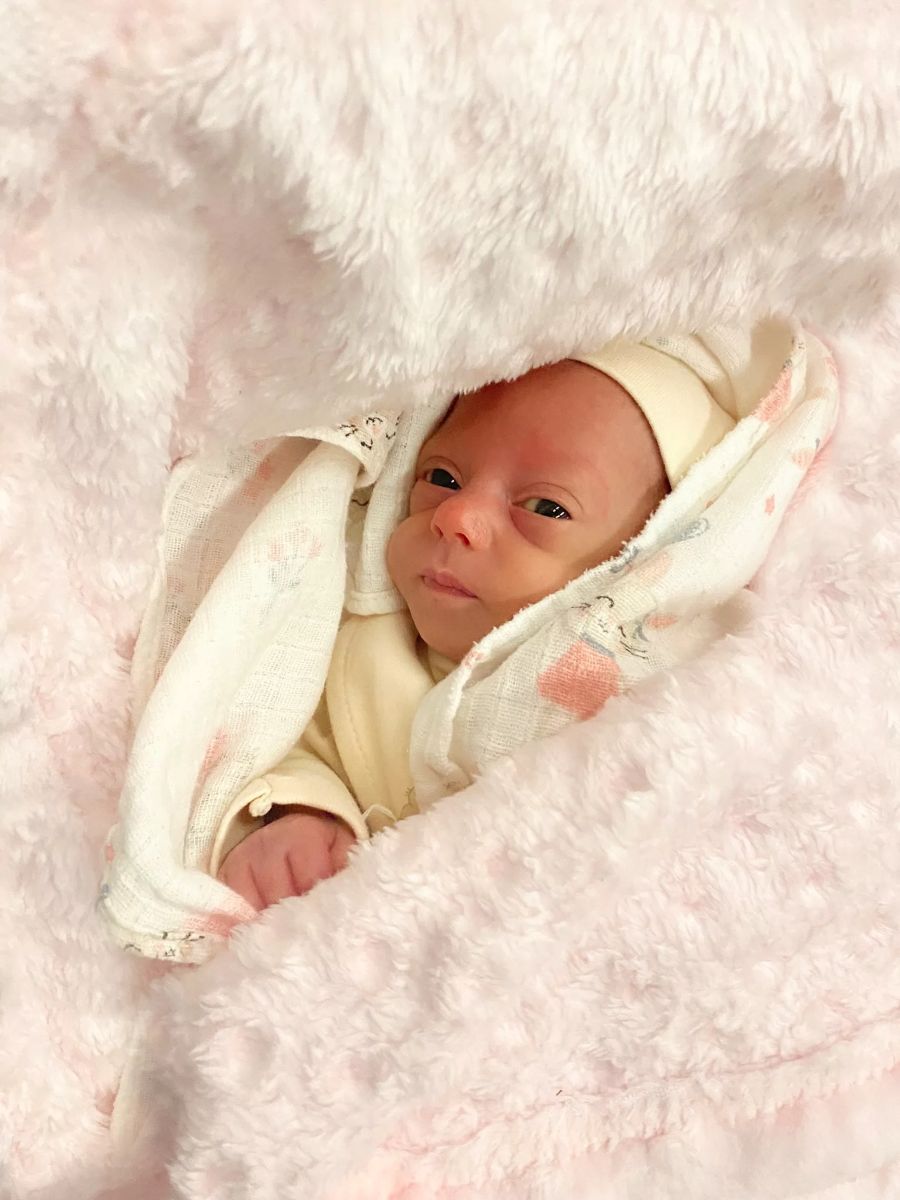 Minik Doğa Hayata Tutundu