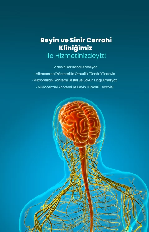 Beyin ve Sinir
