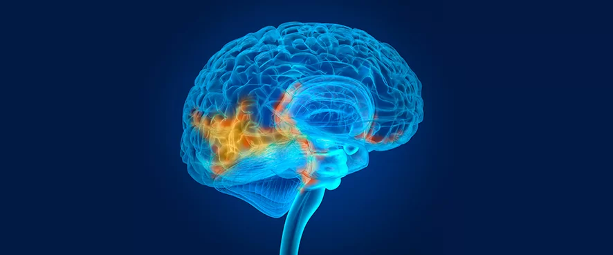 Beyin ve Omurilik Tümörleri