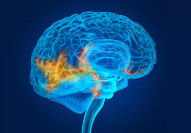 Beyin ve Omurilik Tümörleri