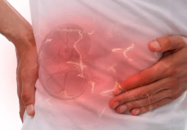 Böbrek Taşları Hakkında A’dan Z’ye Her Şey