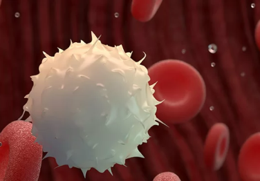 Kan Uyuşmazlığı Neden Olur?