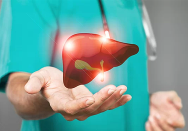 Safra Kesesi ve Sağlığı: İşlevi, Hastalıkları ve Tedavi Seçenekleri