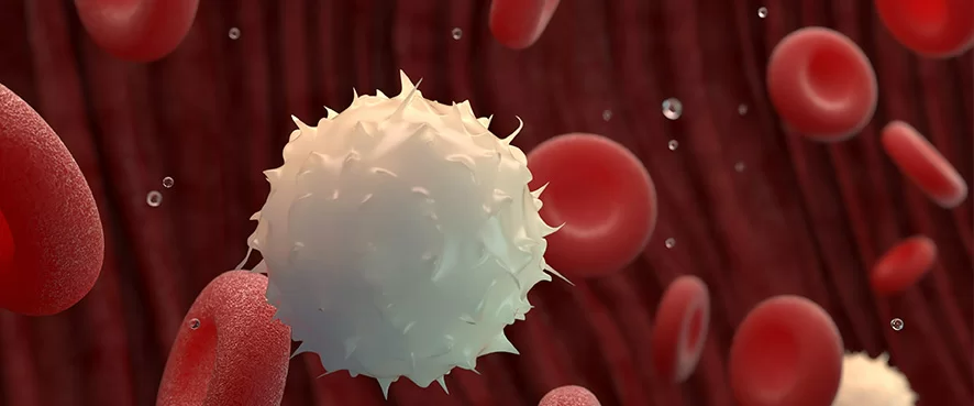 Kan Uyuşmazlığı Neden Olur?