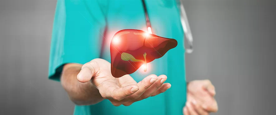 Safra Kesesi ve Sağlığı: İşlevi, Hastalıkları ve Tedavi Seçenekleri