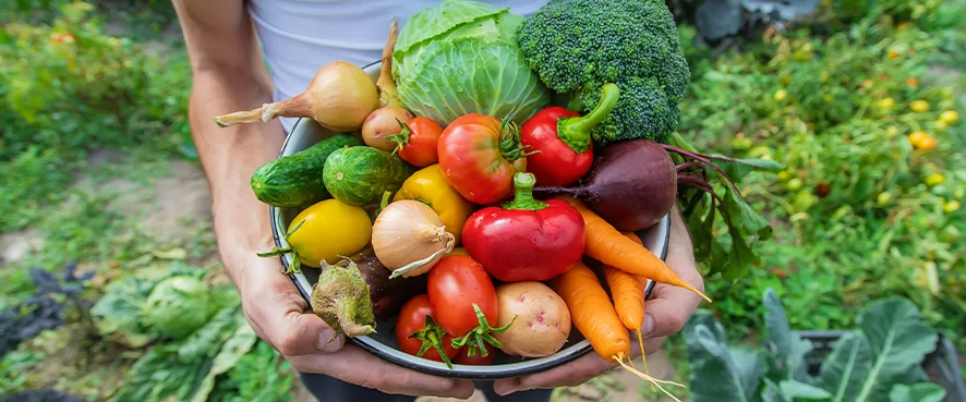 Yaz Aylarında Beslenme Nasıl Olmalıdır?