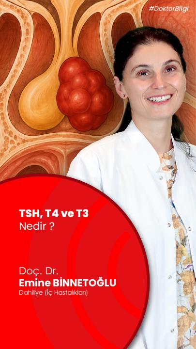TSH yüksek ama T3 ve T4 normalse bu ne anlama gelir?