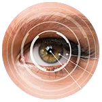 Göz Sağlığı ve Hastalıkları